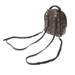 Louis Vuitton Brown Monogram Canvas Palm Springs Daypack Backpack